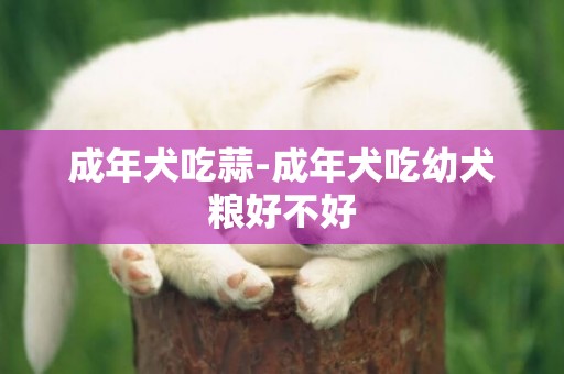 成年犬吃蒜-成年犬吃幼犬糧好不好
