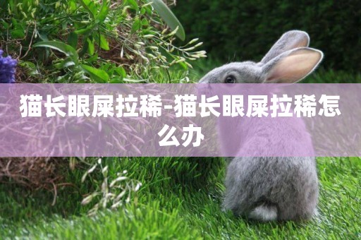 貓長眼屎拉稀-貓長眼屎拉稀怎么辦