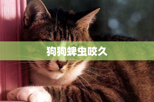 狗狗蜱蟲咬久