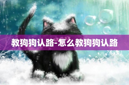 教狗狗認路-怎么教狗狗認路