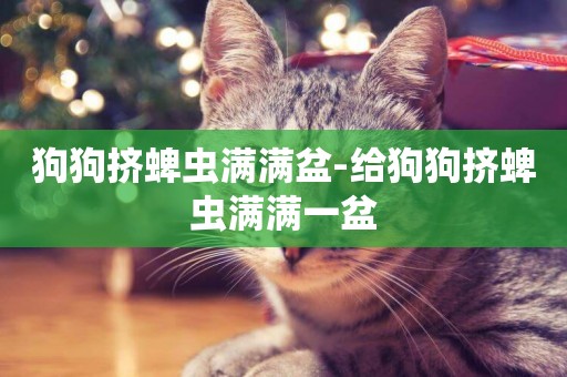 狗狗擠蜱蟲滿滿盆-給狗狗擠蜱蟲滿滿一盆