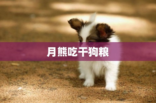 月熊吃干狗糧