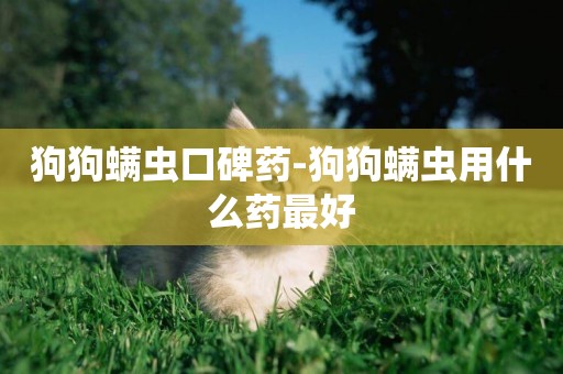 狗狗螨蟲口碑藥-狗狗螨蟲用什么藥最好