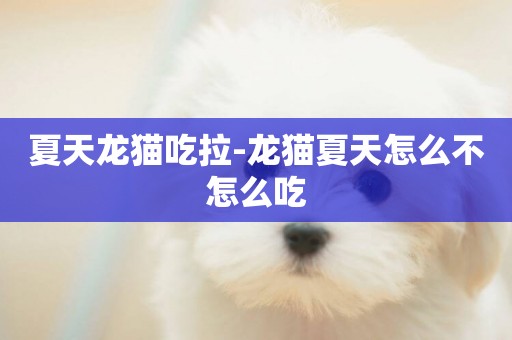 夏天龍貓吃拉-龍貓夏天怎么不怎么吃