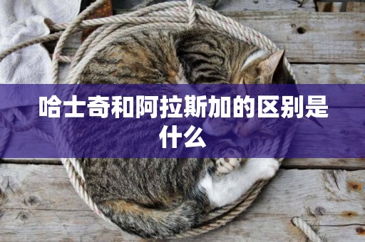 哈士奇和阿拉斯加的區別是什么