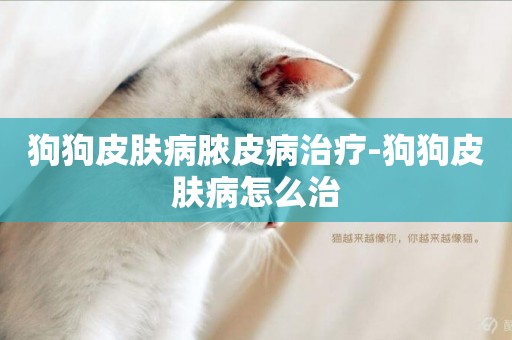 狗狗皮膚病膿皮病治療-狗狗皮膚病怎么治