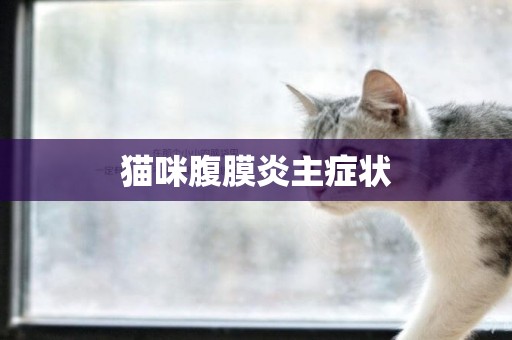 貓咪腹膜炎主癥狀