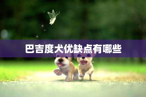 巴吉度犬優缺點有哪些