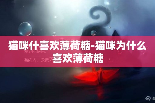 貓咪什喜歡薄荷糖-貓咪為什么喜歡薄荷糖