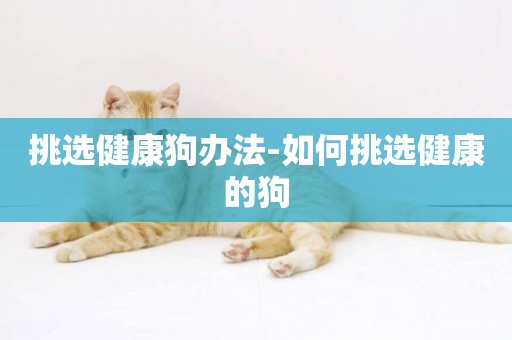 挑選健康狗辦法-如何挑選健康的狗