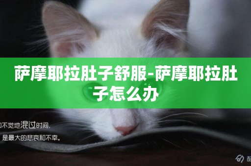 薩摩耶拉肚子舒服-薩摩耶拉肚子怎么辦