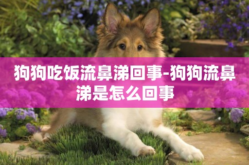 狗狗吃飯流鼻涕回事-狗狗流鼻涕是怎么回事