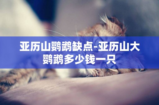 亞歷山鸚鵡缺點-亞歷山大鸚鵡多少錢一只