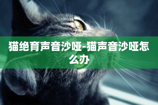 貓絕育聲音沙啞-貓聲音沙啞怎么辦