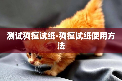 測試狗瘟試紙-狗瘟試紙使用方法