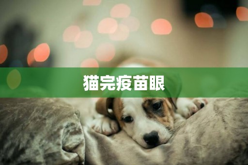貓完疫苗眼