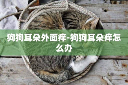 狗狗耳朵外面癢-狗狗耳朵癢怎么辦