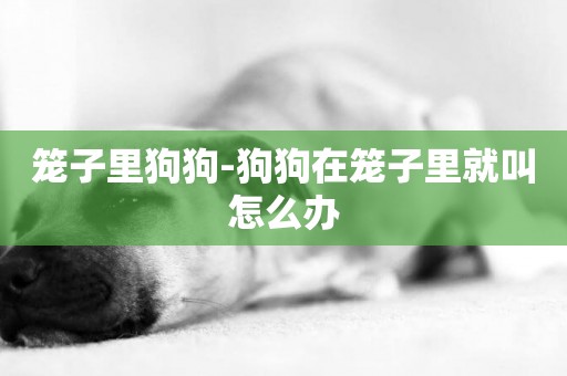 籠子里狗狗-狗狗在籠子里就叫怎么辦