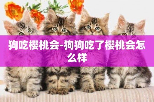 狗吃櫻桃會-狗狗吃了櫻桃會怎么樣