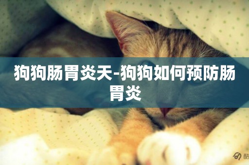 狗狗腸胃炎天-狗狗如何預防腸胃炎