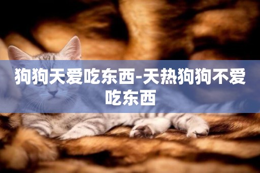 狗狗天愛吃東西-天熱狗狗不愛吃東西