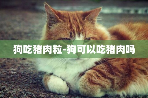 狗吃豬肉粒-狗可以吃豬肉嗎