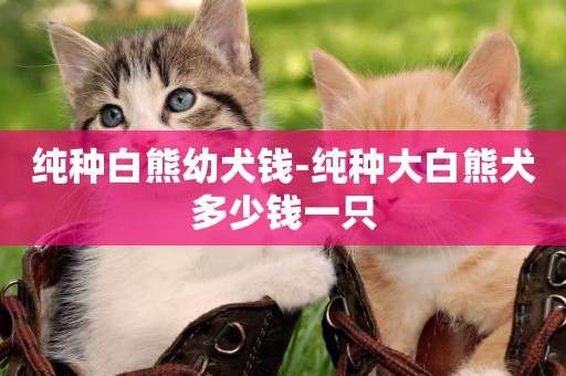 純種白熊幼犬錢-純種大白熊犬多少錢一只