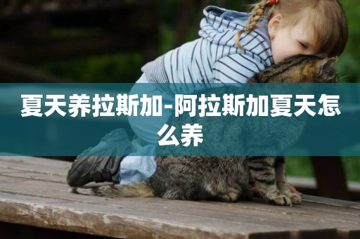 夏天養拉斯加-阿拉斯加夏天怎么養