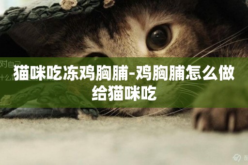 貓咪吃凍雞胸脯-雞胸脯怎么做給貓咪吃