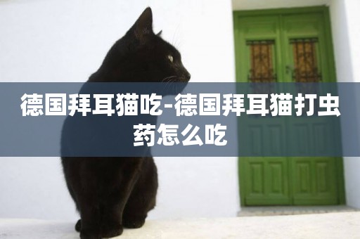 德國拜耳貓吃-德國拜耳貓打蟲藥怎么吃
