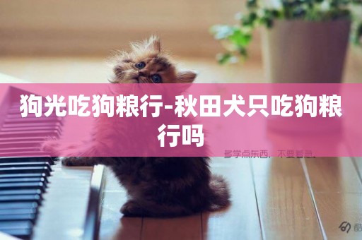 狗光吃狗糧行-秋田犬只吃狗糧行嗎