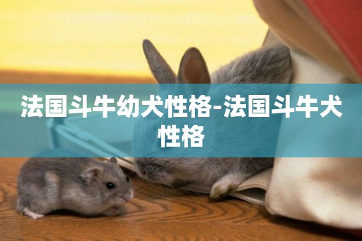 法國斗牛幼犬性格-法國斗牛犬性格