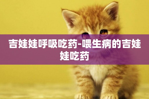 吉娃娃呼吸吃藥-喂生病的吉娃娃吃藥