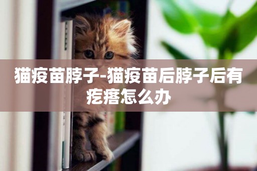 貓疫苗脖子-貓疫苗后脖子后有疙瘩怎么辦