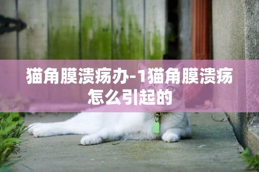 貓角膜潰瘍辦-1貓角膜潰瘍怎么引起的