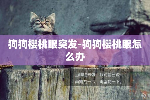 狗狗櫻桃眼突發-狗狗櫻桃眼怎么辦
