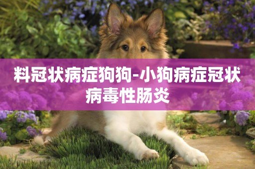 料冠狀病癥狗狗-小狗病癥冠狀病毒性腸炎