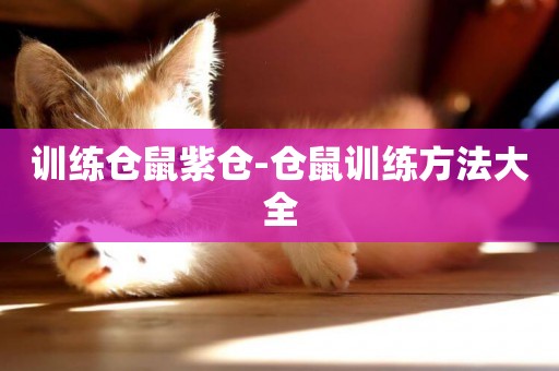 訓練倉鼠紫倉-倉鼠訓練方法大全