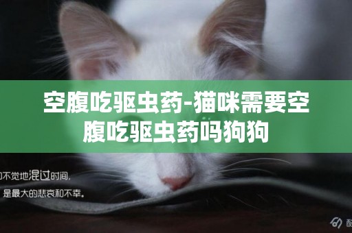 空腹吃驅蟲藥-貓咪需要空腹吃驅蟲藥嗎狗狗