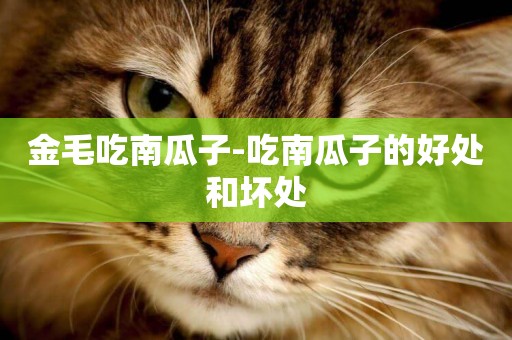 金毛吃南瓜子-吃南瓜子的好處和壞處