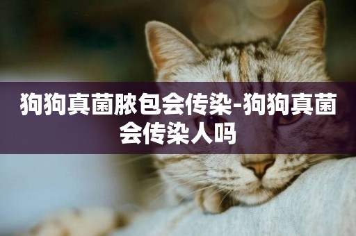 狗狗真菌膿包會傳染-狗狗真菌會傳染人嗎