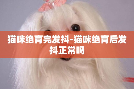 貓咪絕育完發抖-貓咪絕育后發抖正常嗎