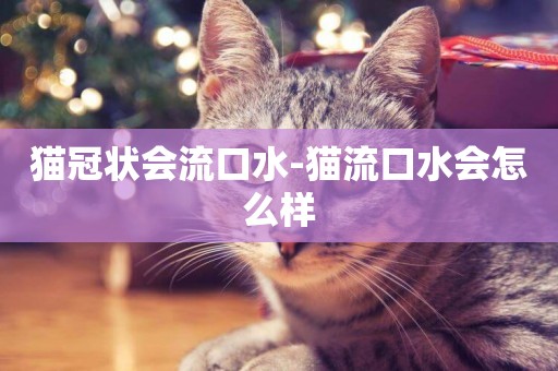 貓冠狀會流口水-貓流口水會怎么樣