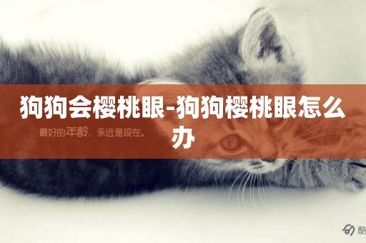 狗狗會櫻桃眼-狗狗櫻桃眼怎么辦