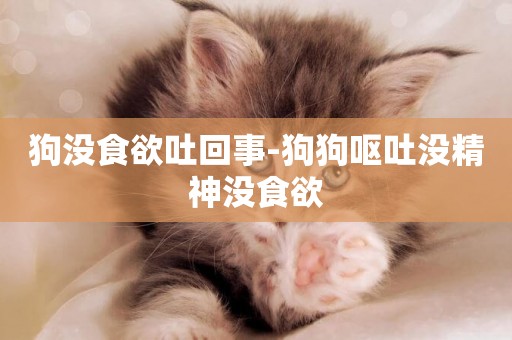 狗沒食欲吐回事-狗狗嘔吐沒精神沒食欲