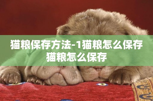 貓糧保存方法-1貓糧怎么保存貓糧怎么保存
