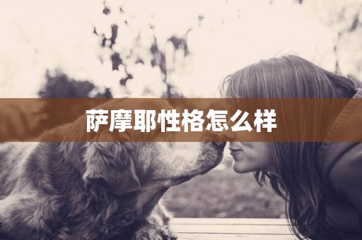 薩摩耶性格怎么樣