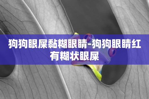 狗狗眼屎黏糊眼睛-狗狗眼睛紅有糊狀眼屎