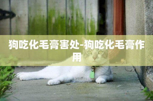 狗吃化毛膏害處-狗吃化毛膏作用