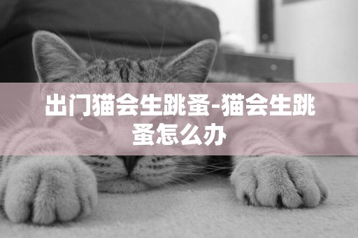 出門貓會生跳蚤-貓會生跳蚤怎么辦